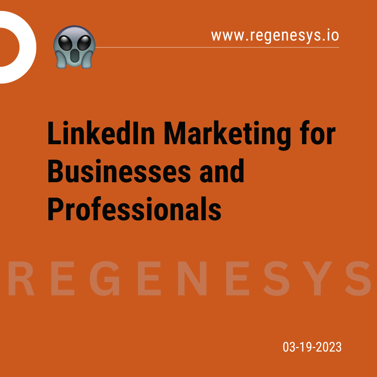 LinkedIn Marketing for Business and Professionals