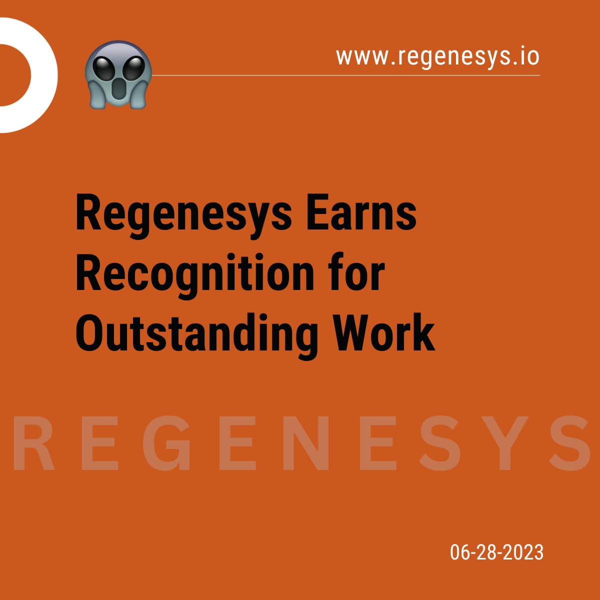 Regenesys Earns Recognition for Outstanding Work 2